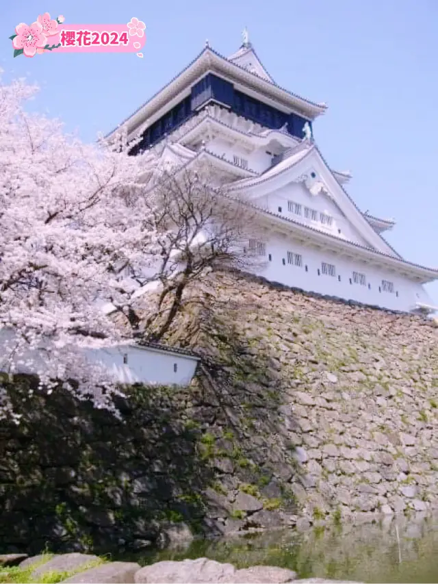 【福岡】🌸小倉城-唐造城堡，春天好去處！