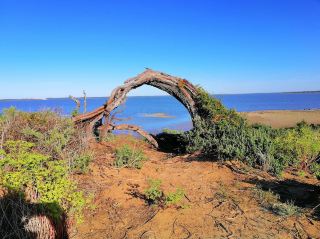 Coorong National Park