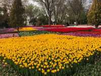 Alaaddin Hill Park