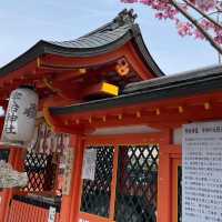 一趟心靈洗滌之旅-宇治平等院⛩️