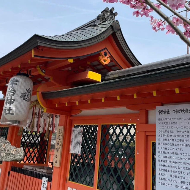 一趟心靈洗滌之旅-宇治平等院⛩️