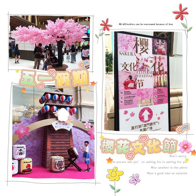 五一黃金周好去處🌸樱花之旅