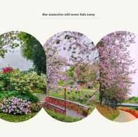 澳門花城公園：自然禪境～漫步放鬆