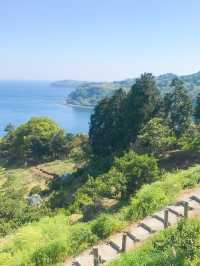 【神奈川】建築美と自然豊かな景色の融合