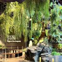 景點-新加坡🇸🇬三大植物園［濱海灣花園雲霧林、花穹、胡姬花園］