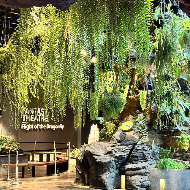 景點-新加坡🇸🇬三大植物園［濱海灣花園雲霧林、花穹、胡姬花園］