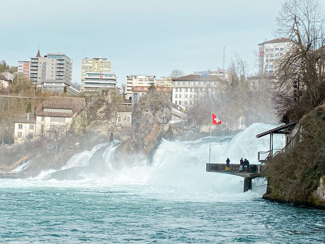 The Niagara Falls of Switzerland- Rhine Falls 🇨🇭