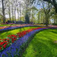 One day trip to Keukenhof ฉบับไปคนเดียว