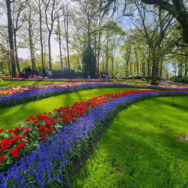 One day trip to Keukenhof ฉบับไปคนเดียว