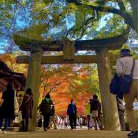 【佐賀観光】九年庵のそばにある神社