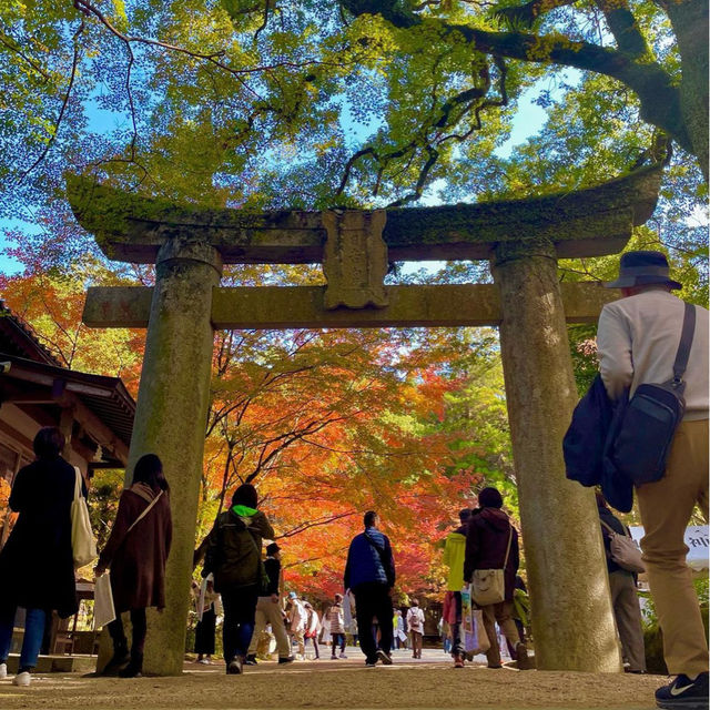 【佐賀観光】九年庵のそばにある神社