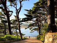 Kim Ilseong Cottage Inn Hwajinpo