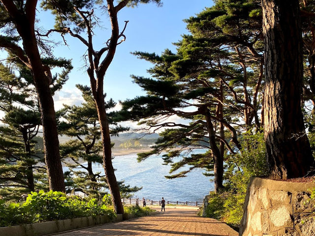 Kim Ilseong Cottage Inn Hwajinpo