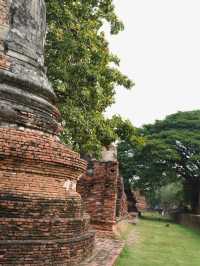 อุทยานประวัติศาสตร์พระนครศรีอยุธยา มรดกโลกที่มีเสน่