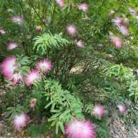 役政公園～綠洲中的湖光山色～寧靜放鬆