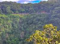 Skyrail Rainforest Cableway
