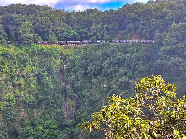 Skyrail Rainforest Cableway