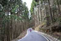 新竹小錦屏野溪溫泉+苗栗觀霧國家森林遊樂區