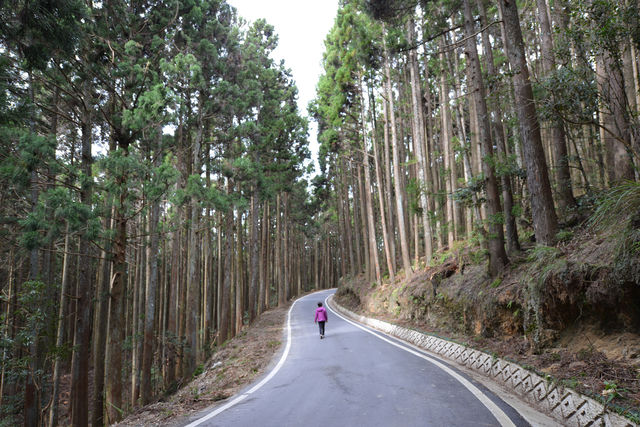 新竹小錦屏野溪溫泉+苗栗觀霧國家森林遊樂區