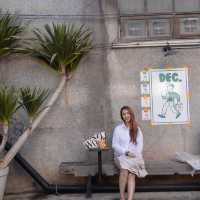 BREWGINNiNG cafe' Chiangmai 