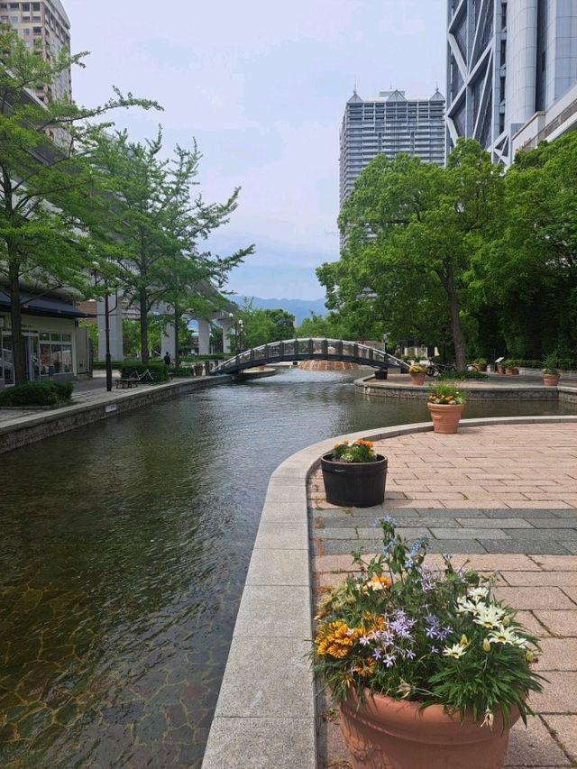 青空✕新緑☆六甲アイランドで癒しの旅