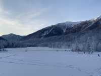 Winter Wonderland Escapades, Hemu Village