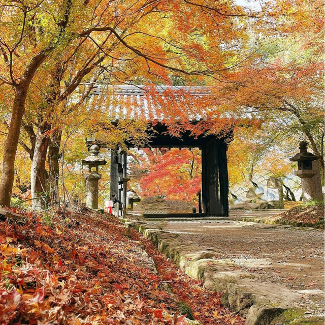 【福岡観光】黒門周辺のかえでが見頃だった