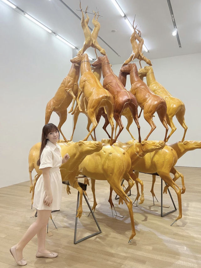 🌟假日去好處❤️ 「布魯斯・瑙曼」展覽