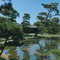 「駿府城公園：歷史與自然美景，四季美景適合漫步」