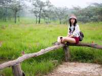 อุทยานแห่งชาติไทรทอง ชมทุ่งดอกกระเจียว