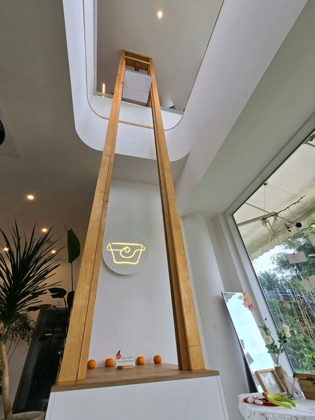 🌞제주/조천읍 사랑스러운 감귤 컨셉✧ ˖