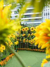 最速攻略🌻決して枯れないひまわり畑がパワーアップして帰ってきた😊去年の🌻2倍！！♡を探せ✨