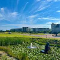 제주 섭지코지를 산책할 수 있는 성산일출봉 앞 리조트
