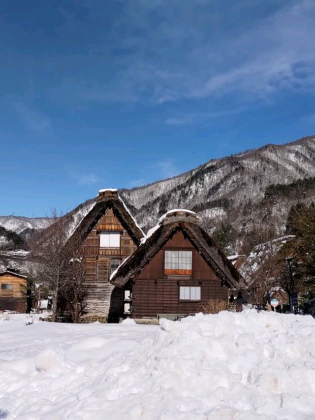 「白川鄉」我們終於來了！