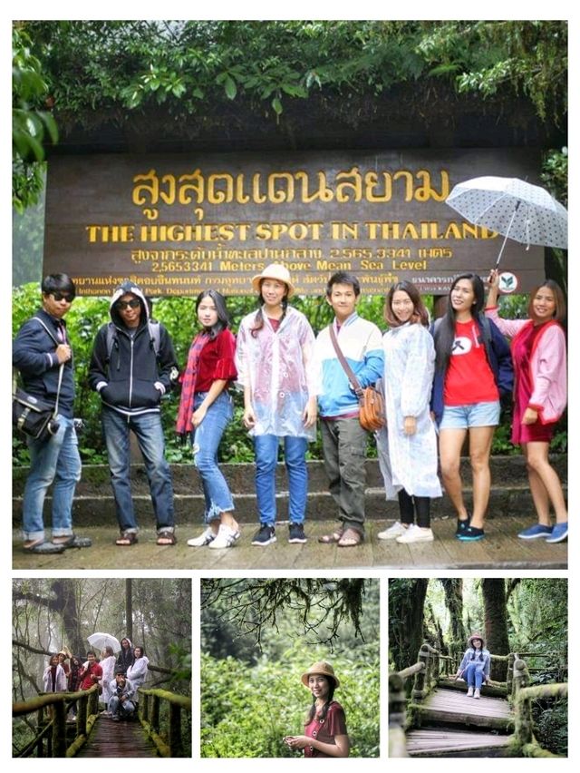 แชร์พิกัดที่เที่ยวที่พักเชียงใหม่หน้าฝน