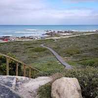 Uncover the Charm of Cape Agulhas
