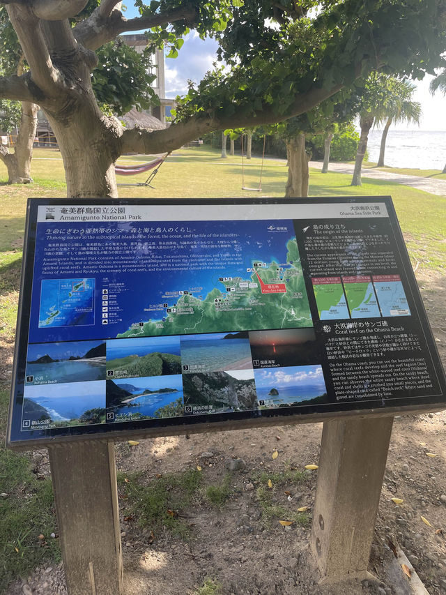 奄美大島　奄美の自然を感じる公園🌺