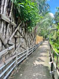 Bangkok Tree House บางกระเจ้า