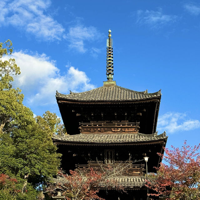 〜京都府〜穴場スポット！京都を一望新撰組ゆかりの地