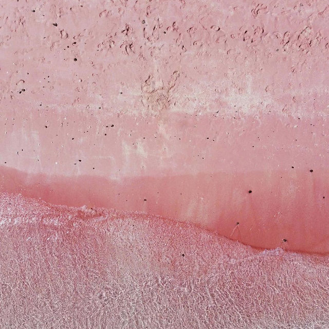 pink beach komodo island
