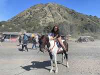 Difficult to Trek but quite worth the experience: Mount Bromo and Ijen Volcano