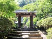 【神奈川県】北鎌倉の隠れた名禅寺『浄智寺』