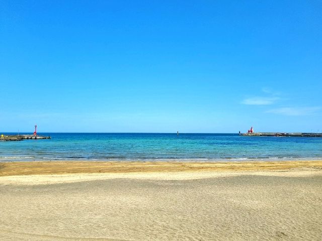 공항과 가장 가까운 해변! 이호테우 해수욕장❤️