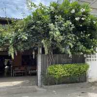 PAPACRAFT CAFE