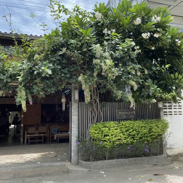 PAPACRAFT CAFE