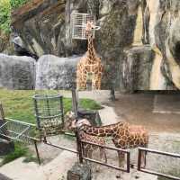 【臺北自由行】臺北市立動物園：綠蔭遮蔽，適合帶小朋友