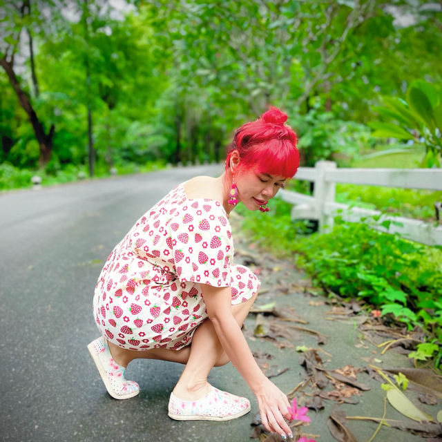 ทุ่งนาตานันท์