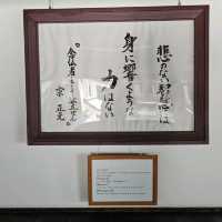 세계에서 가장 큰 목조절🏯 교토에서 공짜로 힐링하기!
