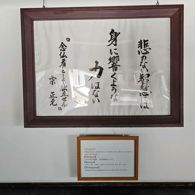 세계에서 가장 큰 목조절🏯 교토에서 공짜로 힐링하기!