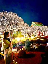 〜神奈川県〜鎌倉の名所！長谷寺ライトアップ！
